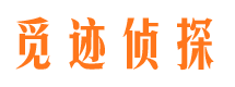 平房市场调查